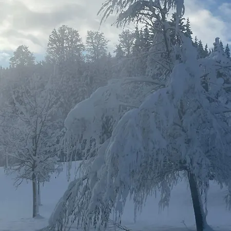 Jaeger Veronika التنماركت ام بوناغ