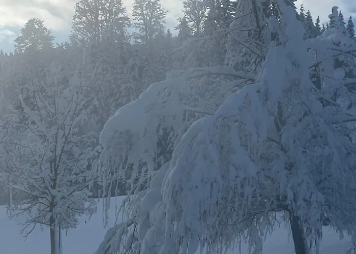 Jäger Veronika Altenmarkt im Pongau